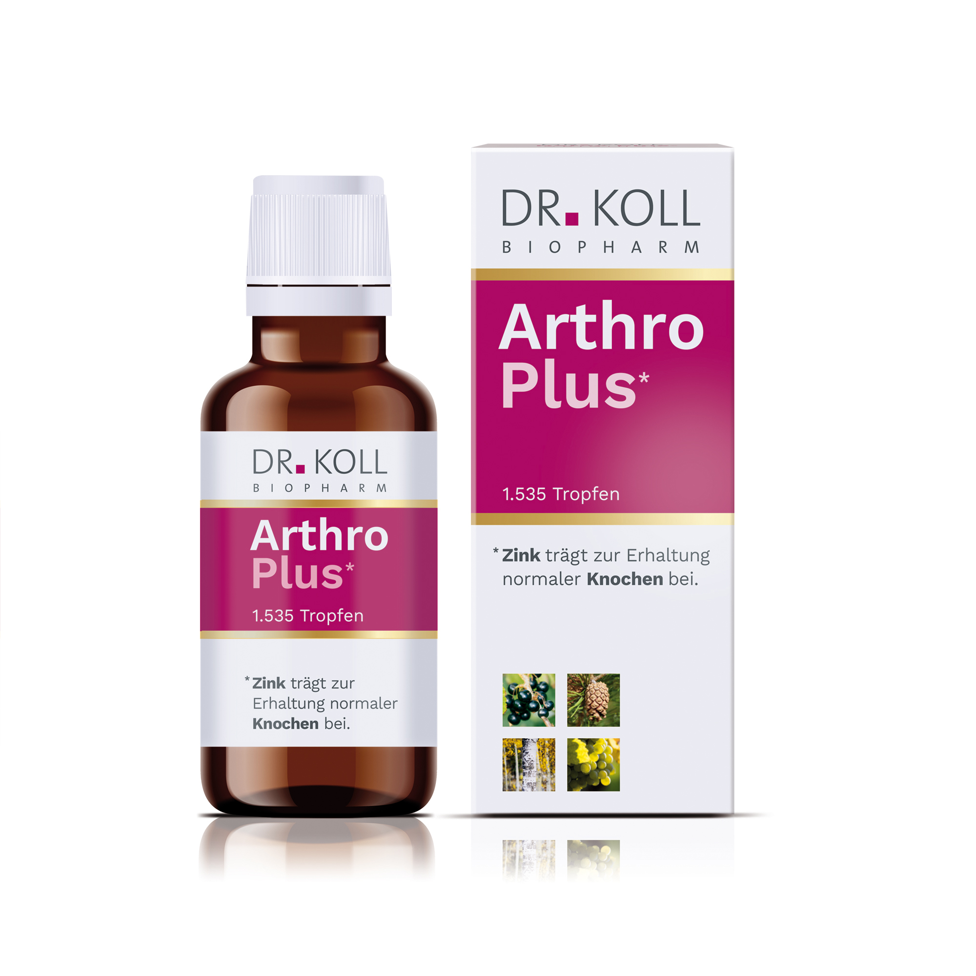 Arthro Plus Dr. Koll