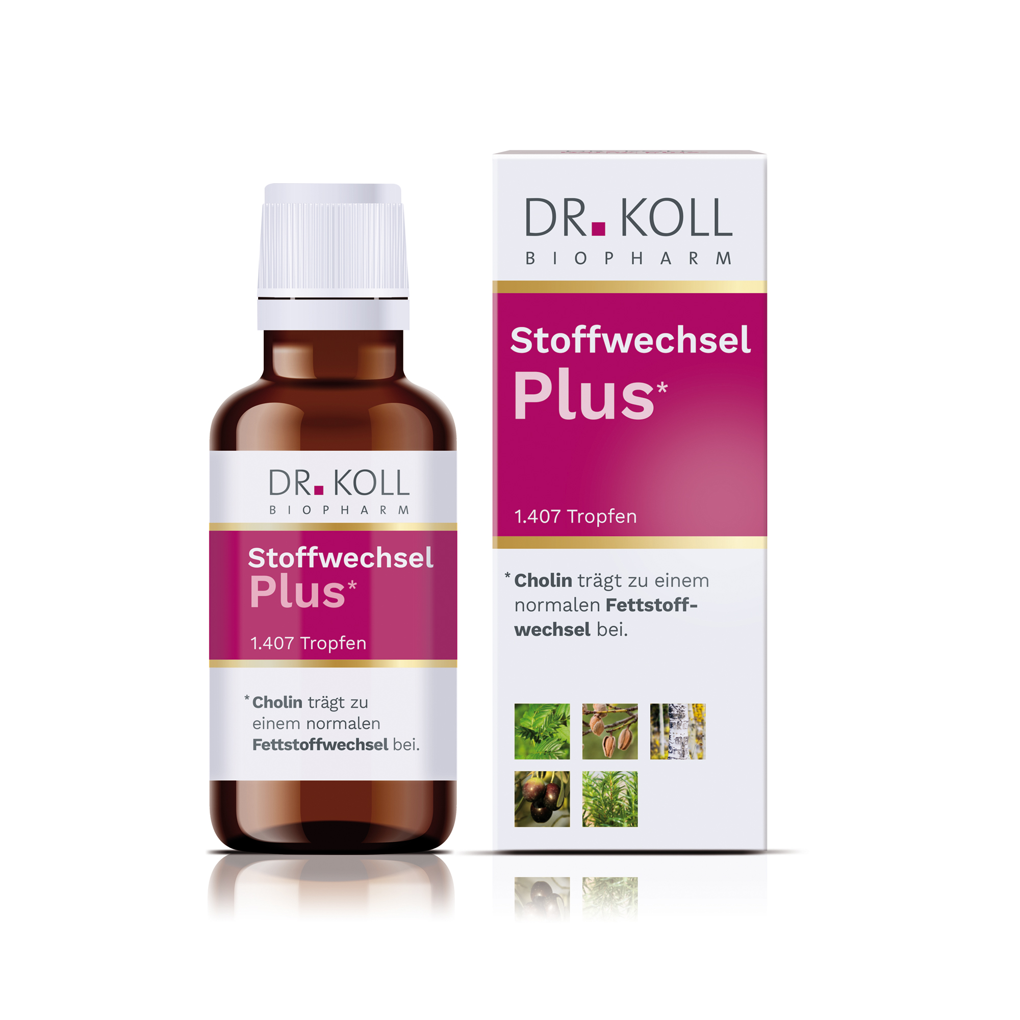 Stoffwechsel Plus Dr. Koll  