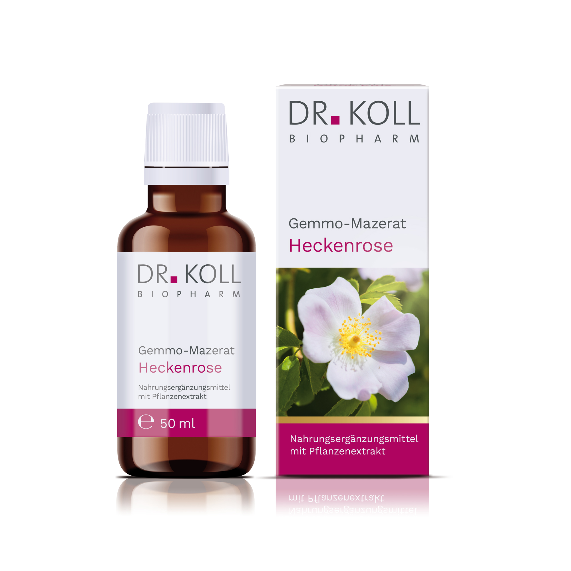 Gemmo-Mazerat-Heckenrose