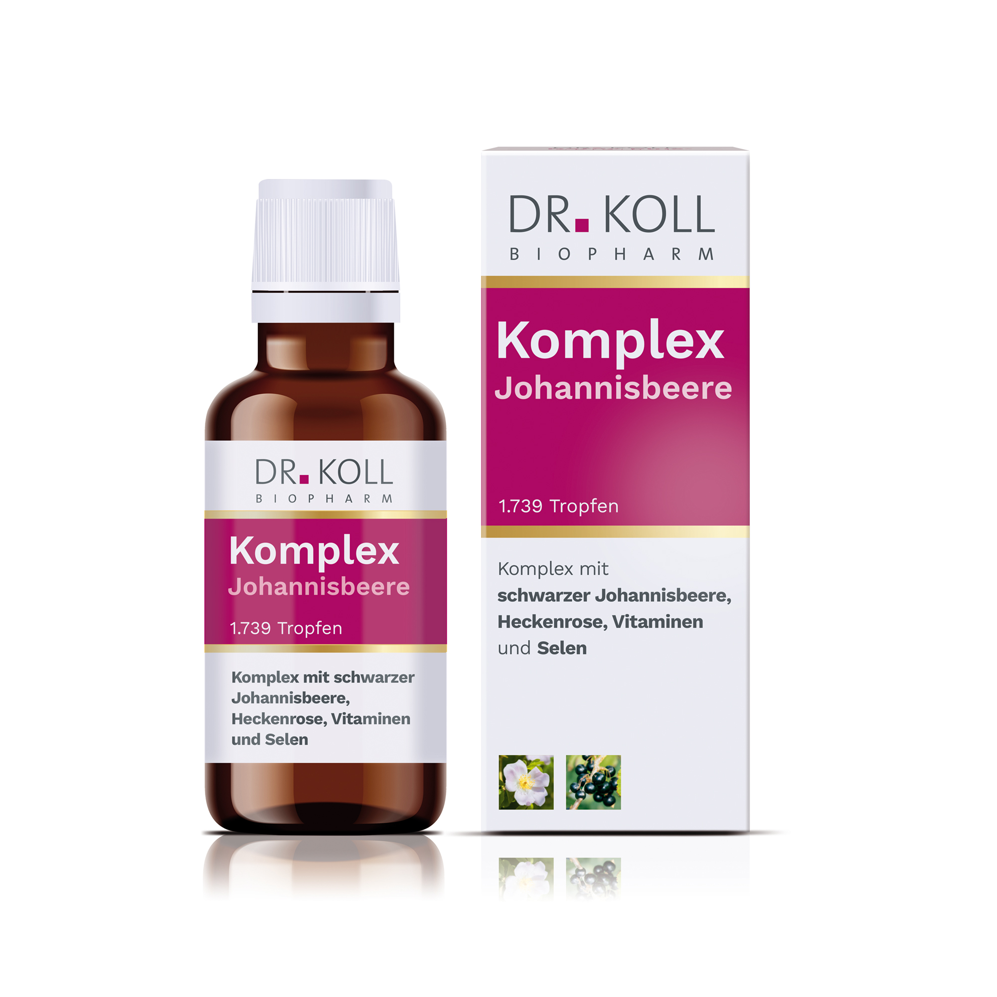 Komplex Johannisbeere Dr. Koll 