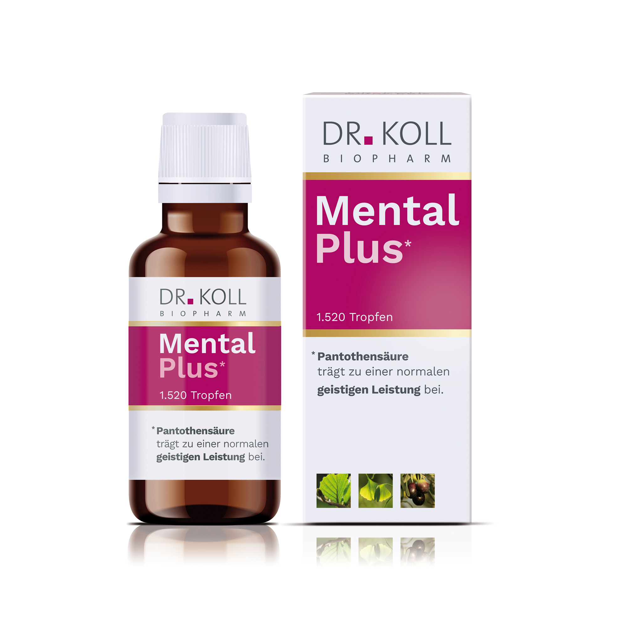 Mental Plus Dr. Koll  